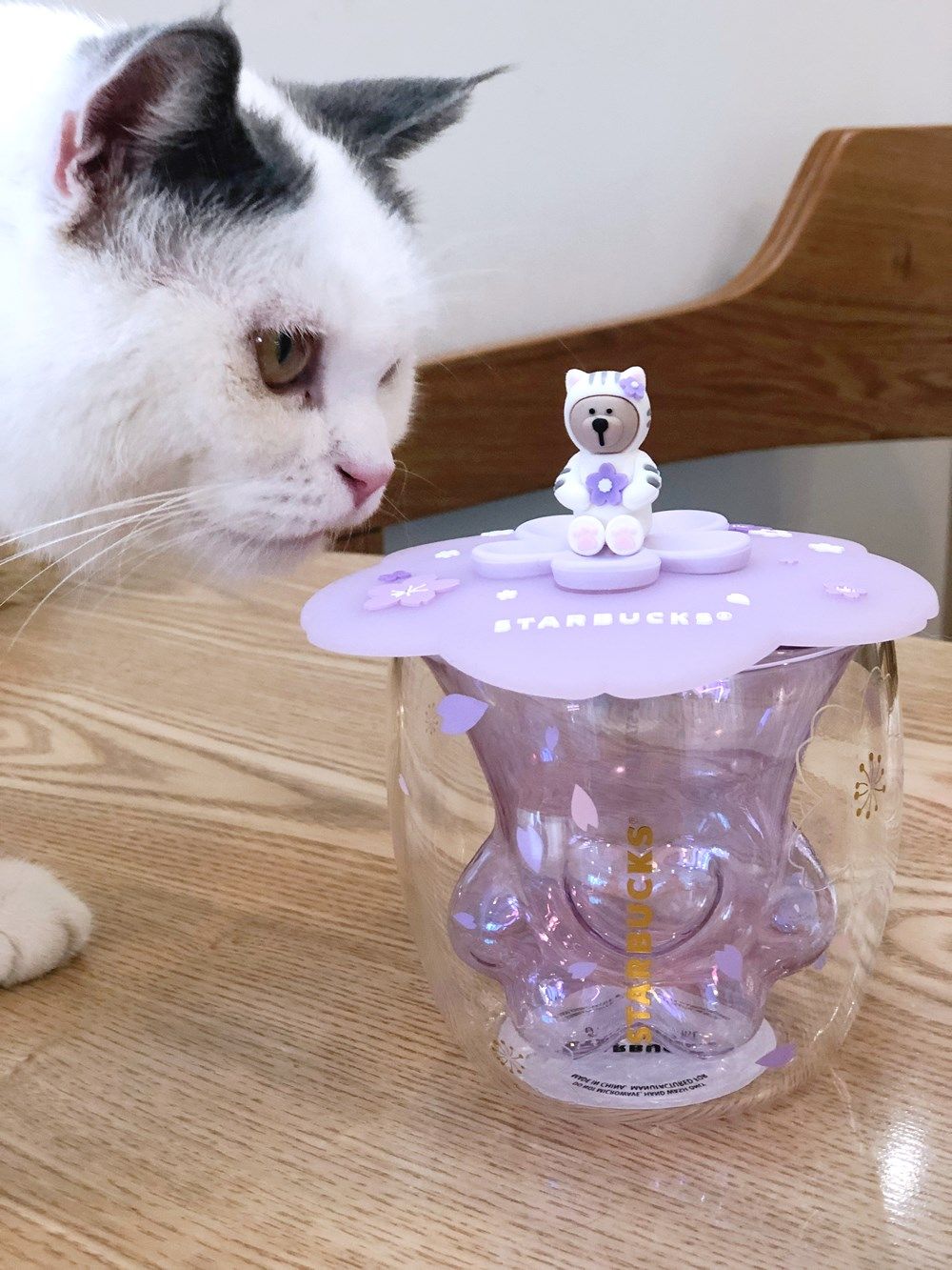 猫爪网红杯紫粉色南瓜透明樱花双层玻璃杯