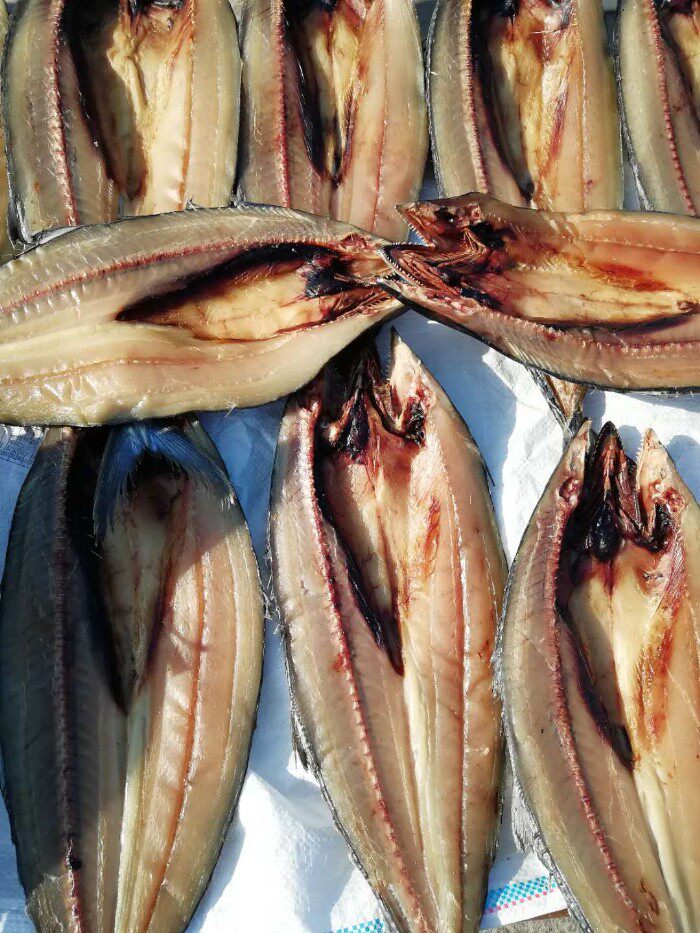 青岛崂山王哥庄田甜晒鲅鱼干无盐添加渔家海水鱼干