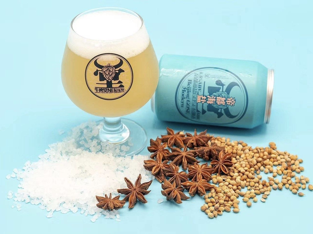 望角精酿 【送杯】牛啤堂 帝都海盐 酸古斯啤酒24罐国产之光必喝