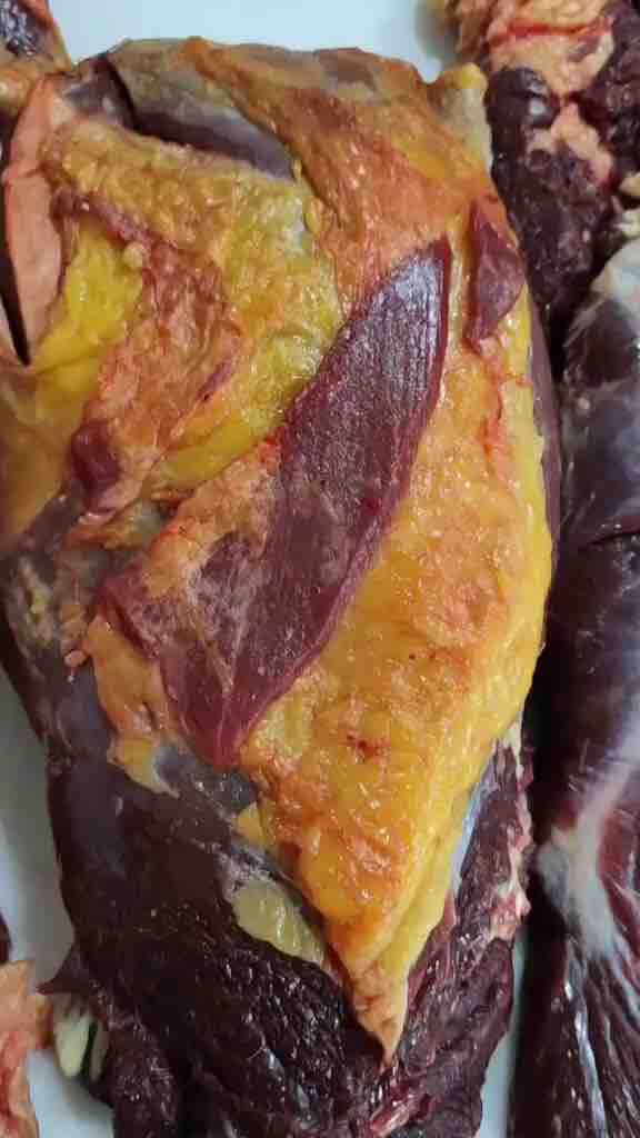 牛腩五花三层内蒙古呼伦贝尔散养黄膘牛腩5斤