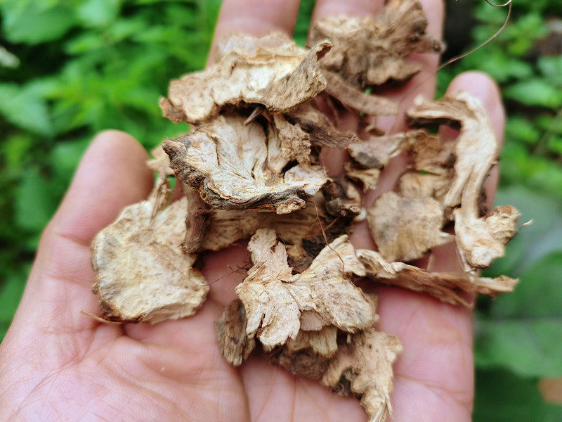 贵州野荞麦根干片中药材野南开金锁银开野荞兰其他药食同源食品