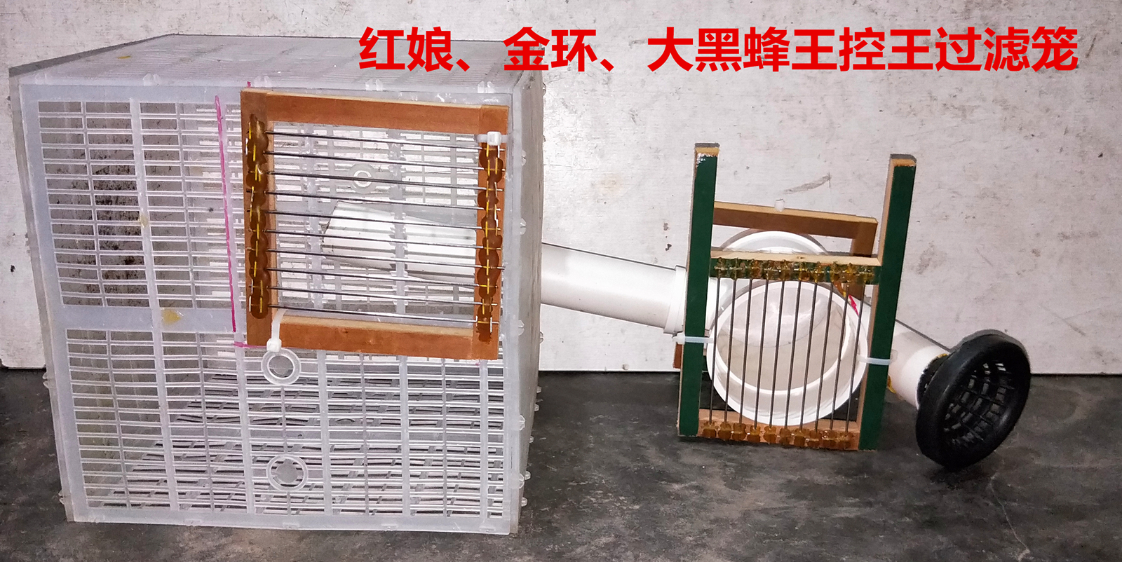 胡蜂王过滤控王笼马蜂服虎头红娘金环大黑尾蜂王囚王笼筑巢活动箱
