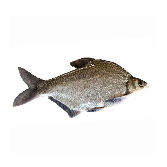 新鲜武昌鱼昌鱼淡水鱼鲜活鳊鱼扁鱼丹江口直发淡水鱼类