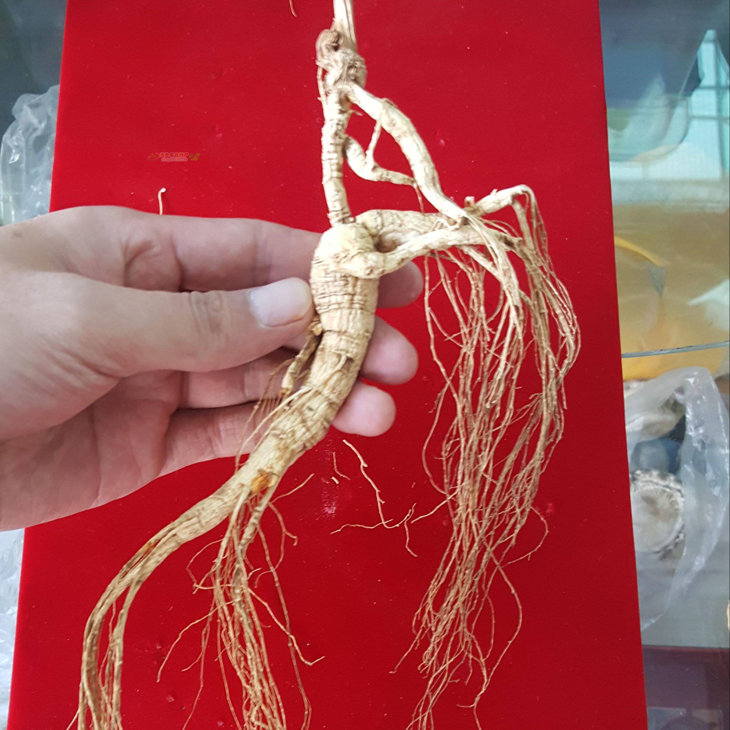 长白山20年人参绿色残留散装干品产地实体店包山参