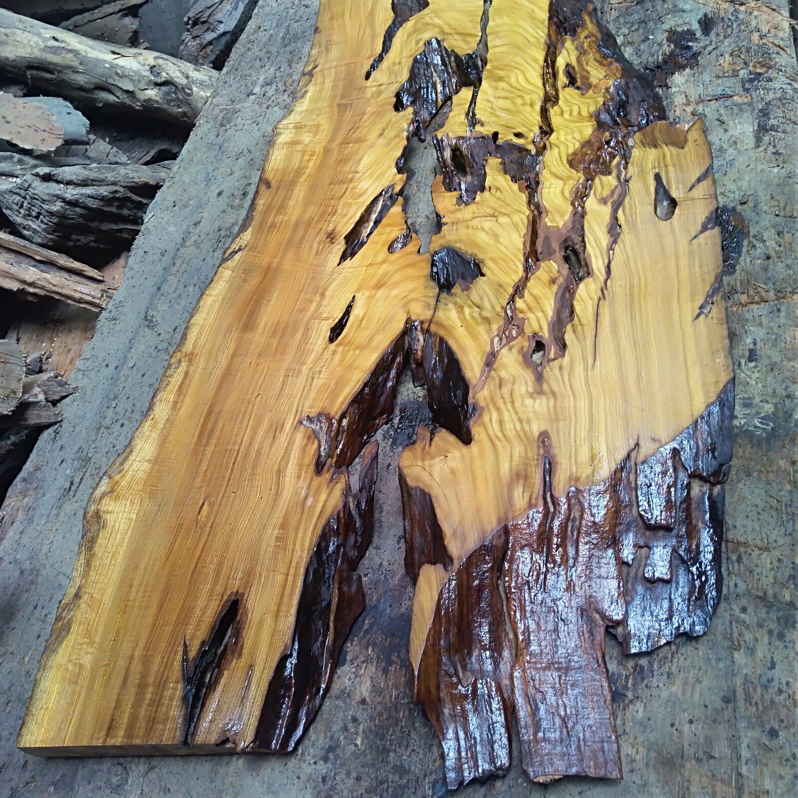 朽木烂木空洞板天然空洞千疮百孔千姿百态朽板材树洞虫孔艺术创意