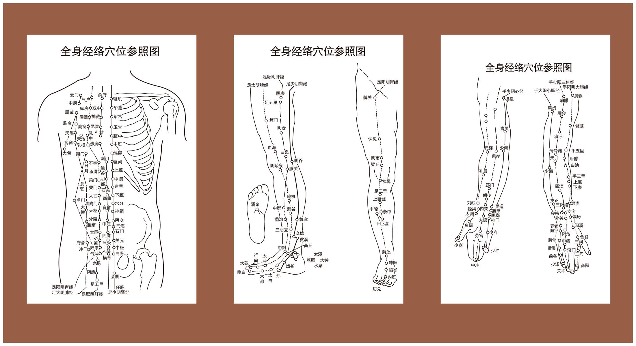 薄膜海报印制展板喷绘写真全身穴位经络参照塑料薄膜