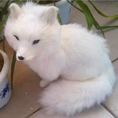 仿真动物狐狸模型摆件毛绒玩具宠物白狐宝宝女生生日礼物玩具