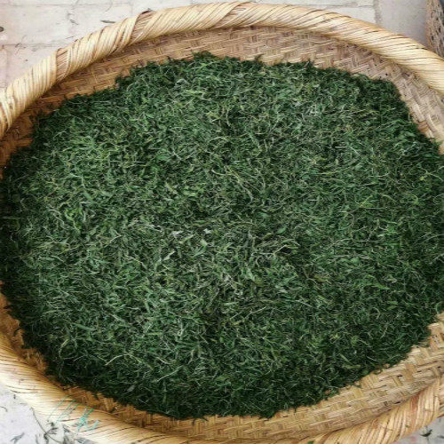 文冠果野生文冠果茶叶茶叶芽养生茶叶养生茶