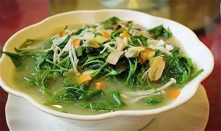 桑叶速冻桑芽汤桑苗凉拌食材特色酒店餐厅送一凉菜