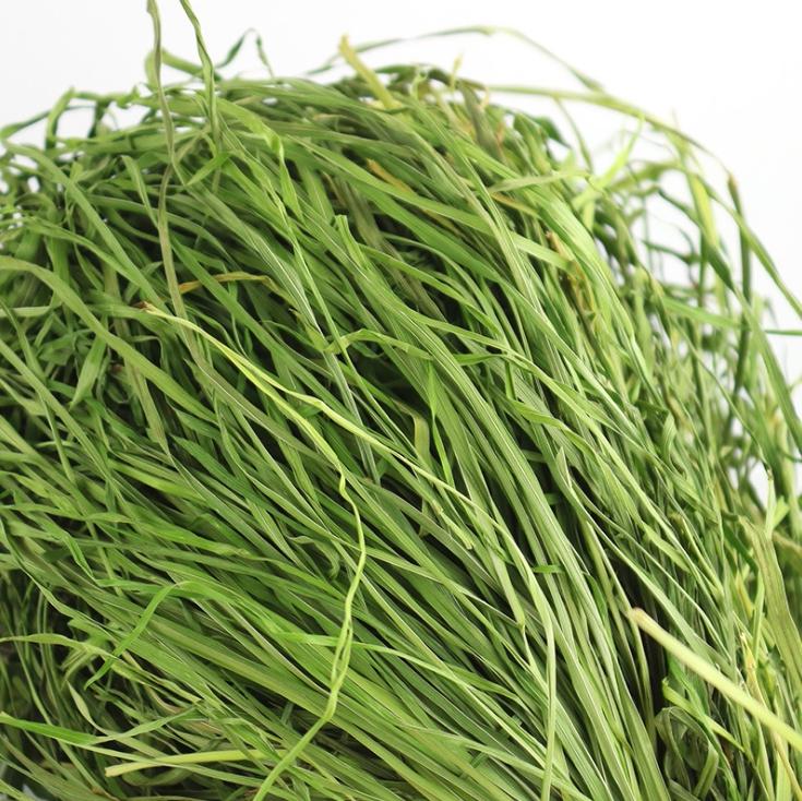 包邮22年烘干果树兔子龙猫荷兰豚鼠牧草代替兔兔干草