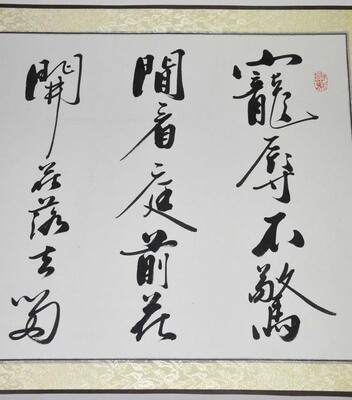 宠辱不惊闲看庭前花开花落行书横幅真迹艺术品书法