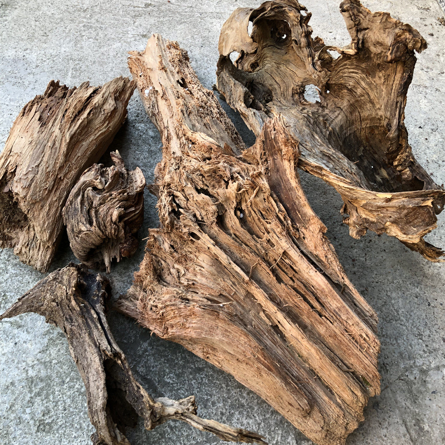 天然枯木树根摆件造景多肉花盆风化木头爬宠台摆件