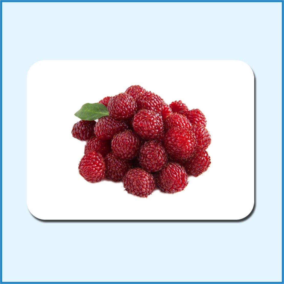 杜曼百科水果蔬菜闪卡右脑潜能开发早教启蒙认知大卡看图识字卡片