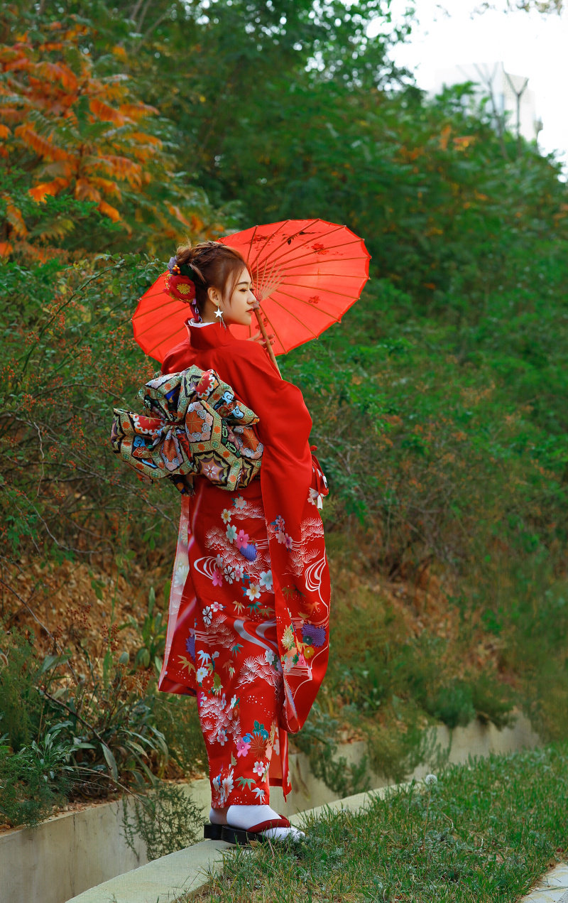 秋冬加厚和服女日本和服正装和风樱之美大振袖和服传统对花大正