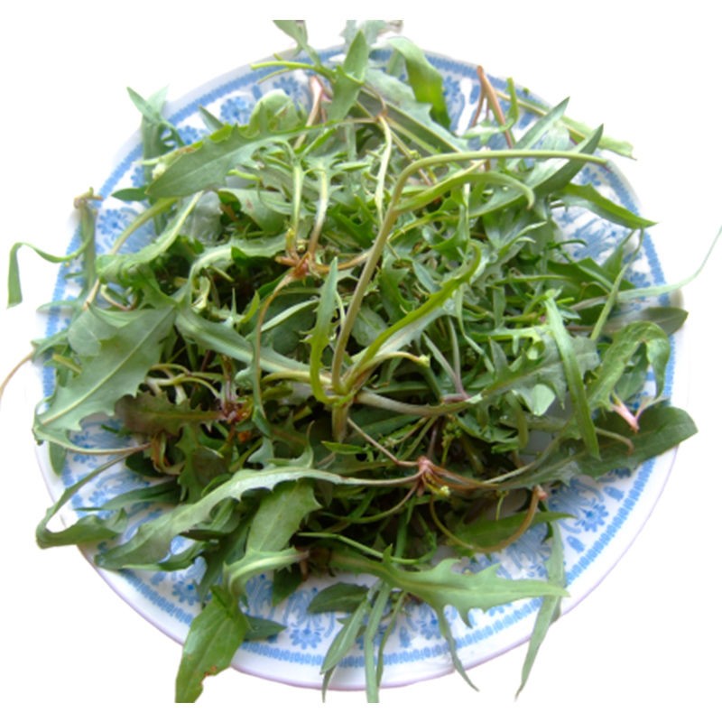 山东野生苦麻子小叶苦菜苦荬菜苦碟子菜根生吃蘸酱一斤装 两份 包邮