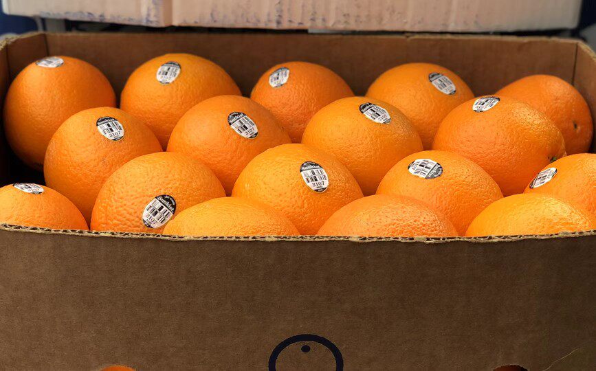 现货美国进口新奇士3107黑标纯甜橙子赣南脐橙橙
