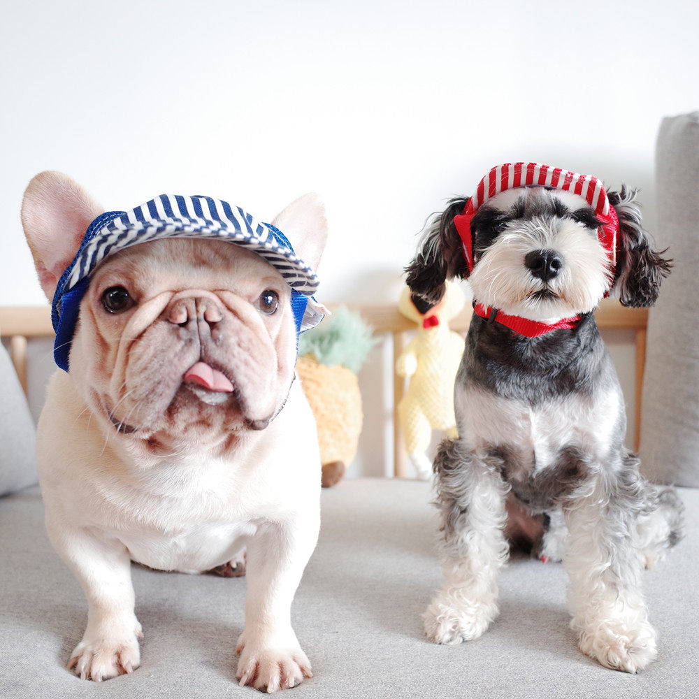 帽子狗狗外出遮阳帽宠物百搭拍照条纹法斗纳瑞帽子