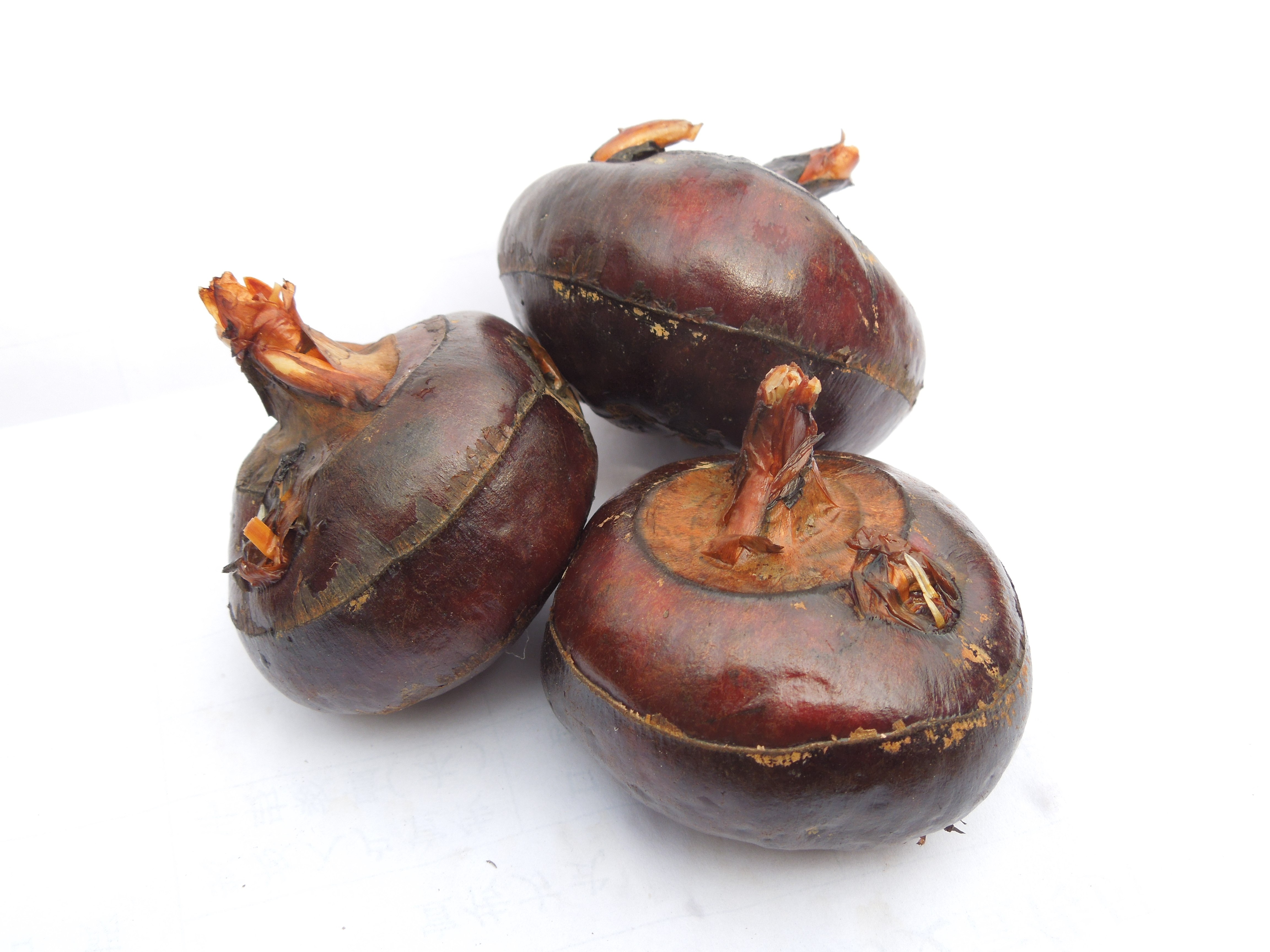 荔浦特产水果马蹄产地农产品直销新鲜洗净食用其它