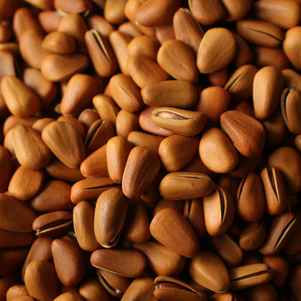 红松松子新货东北500g原味手剥开口坚果炒货松子