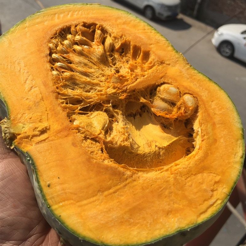 南瓜新疆沙漠板栗贵族白皮粉糯香面甜老新鲜南瓜