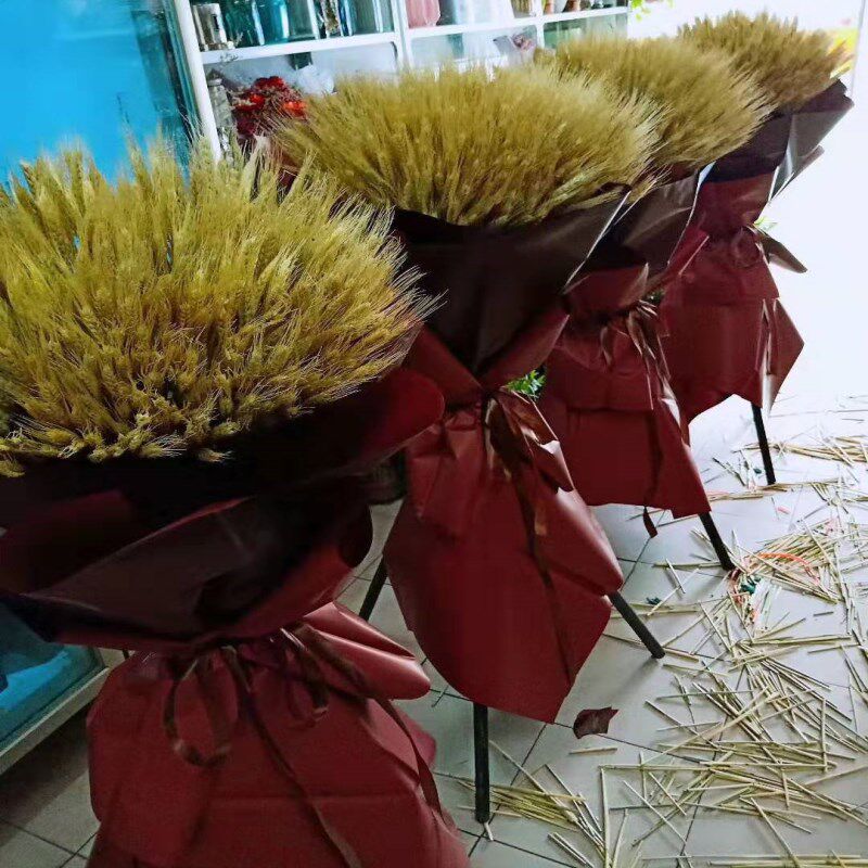 天然小麦麦穗花束开业大麦田园装饰礼品拍摄干花