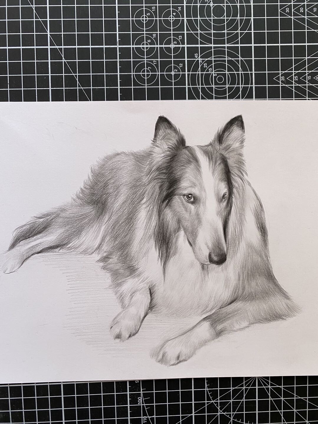 画像动物阿猫阿狗定制素描彩铅手绘真人漫画