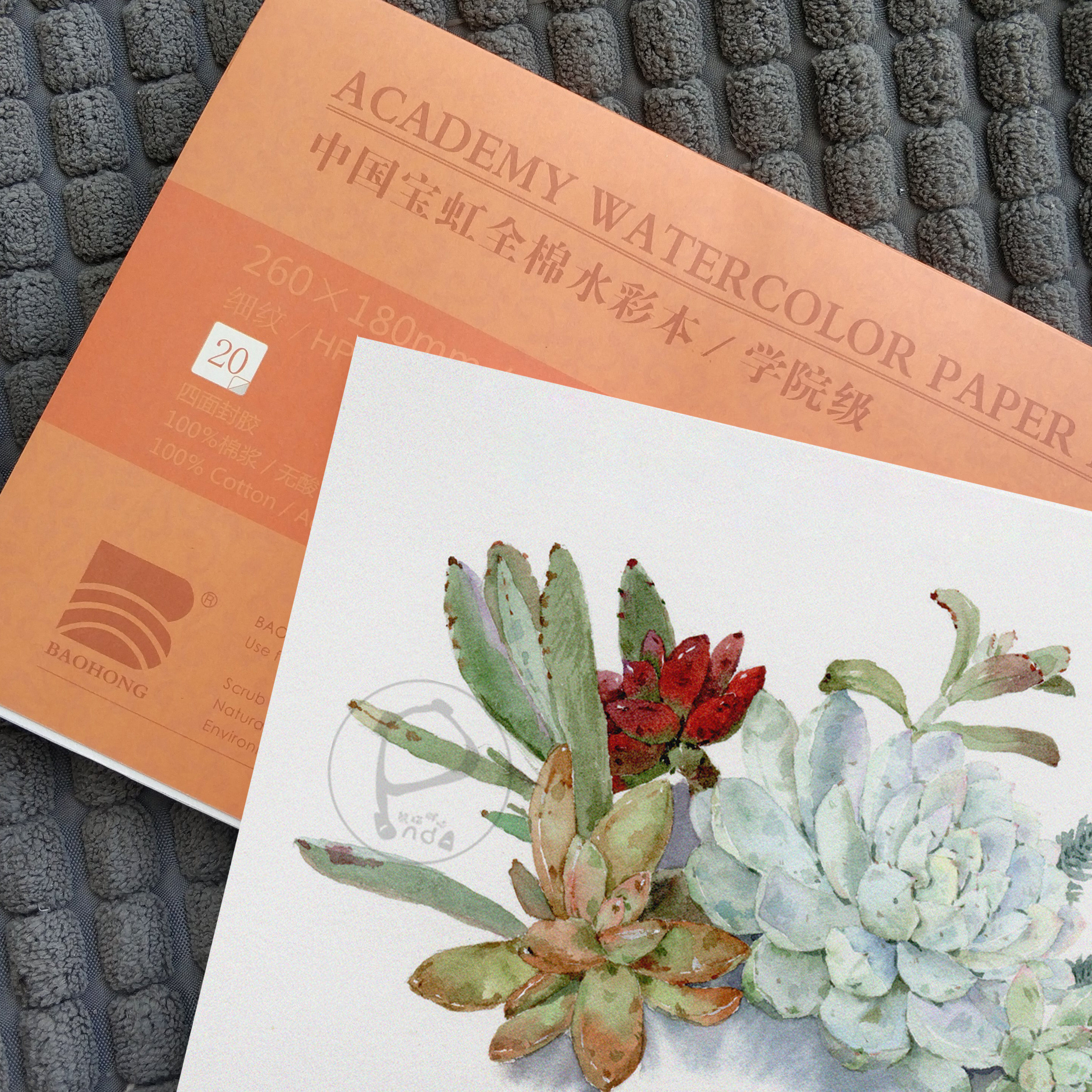 【小熊猫】宝虹棉桨细纹水彩本四面封胶水彩纸300g性价比超高