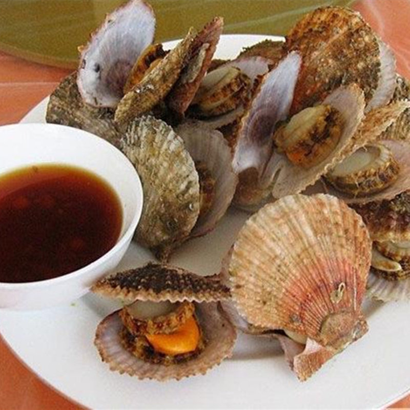 扇贝红贝500g海鲜鲜活新鲜红鲜红小红小扇水产扇贝