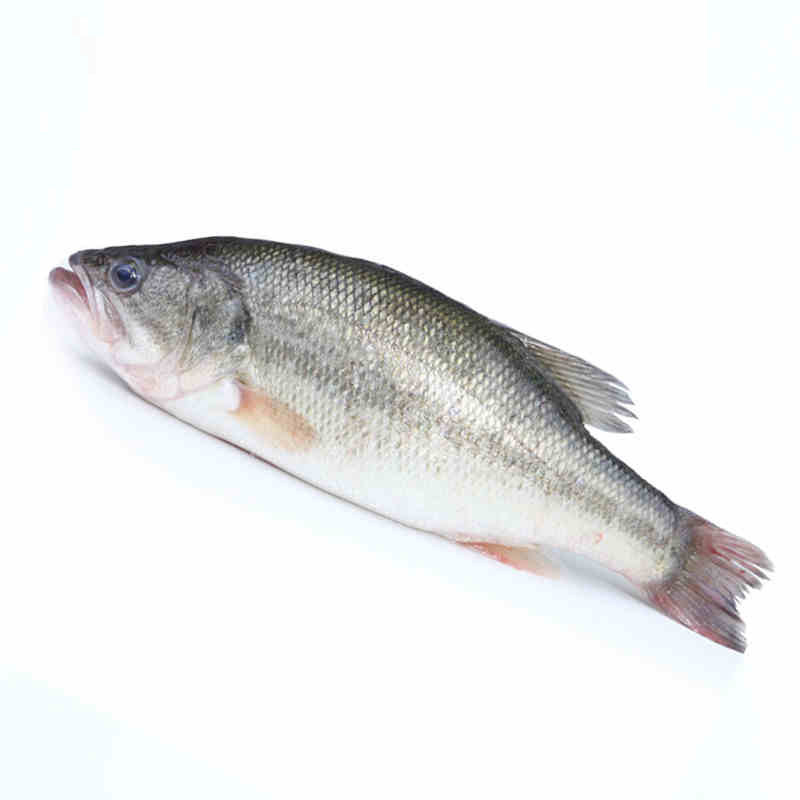 750克北京闪送冰鲜生猛海鲜河鲈鱼清蒸美食高档海鲜食其它