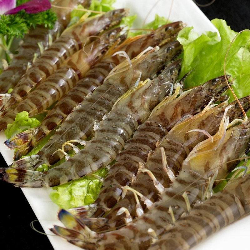 鲜活白虾500克口感虾斑节九节北京虾海基围活活活虾