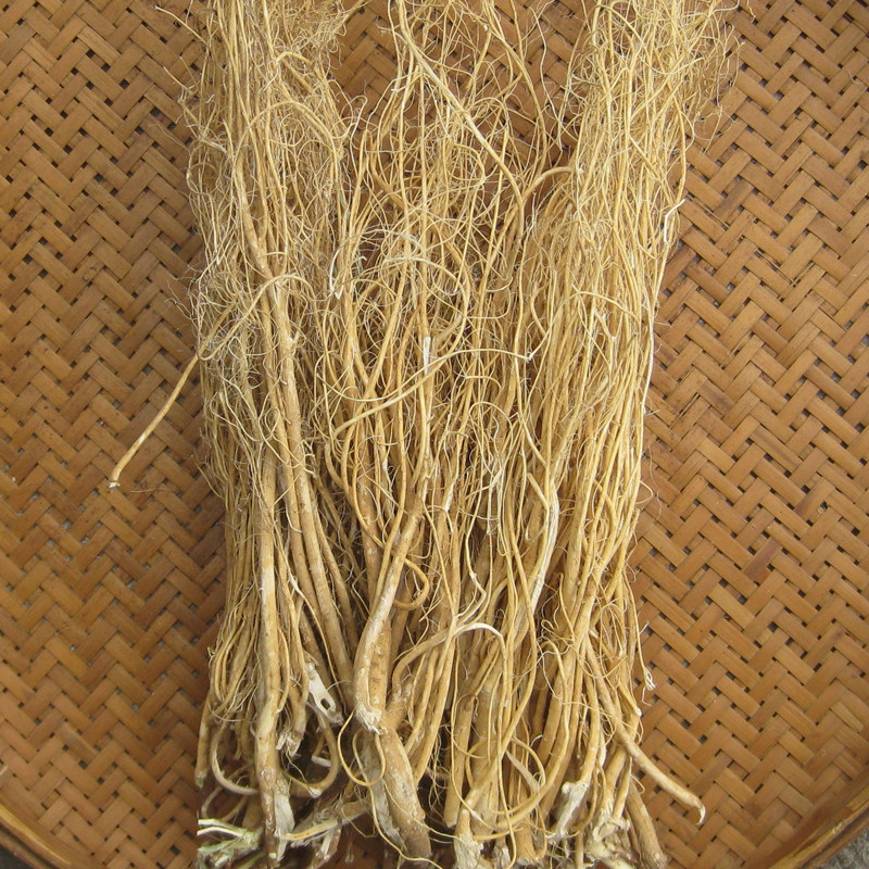 汤料包邮广东梅州客家野生新鲜石参根虎尾轮煲其他药食同源食品