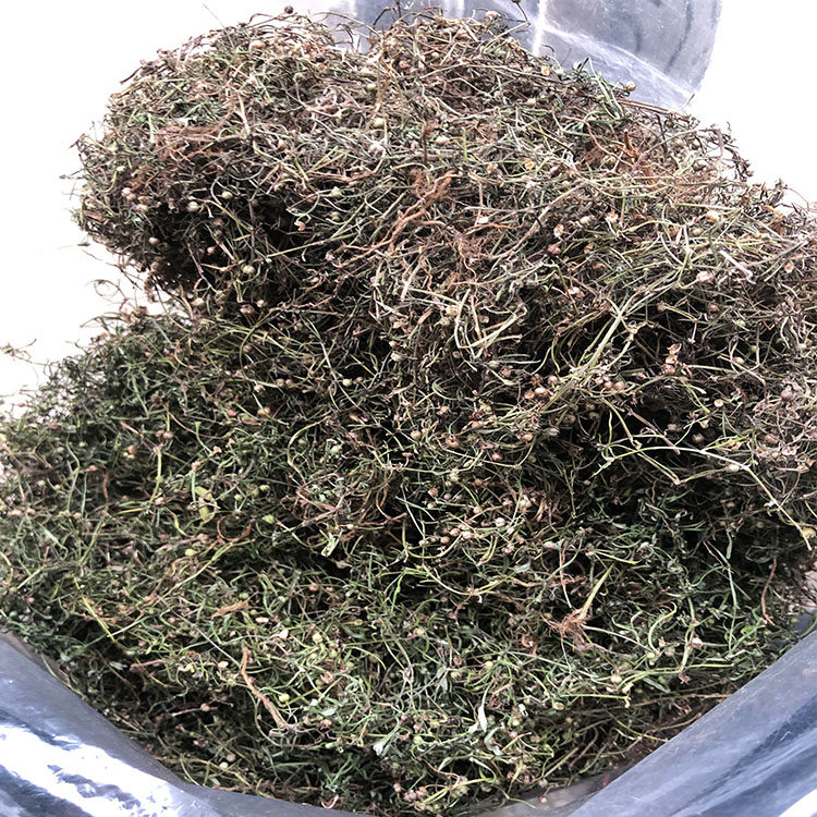 蛇舌农家干品中草药二叶自晒利草草蛇百花白花其他药食同源食品