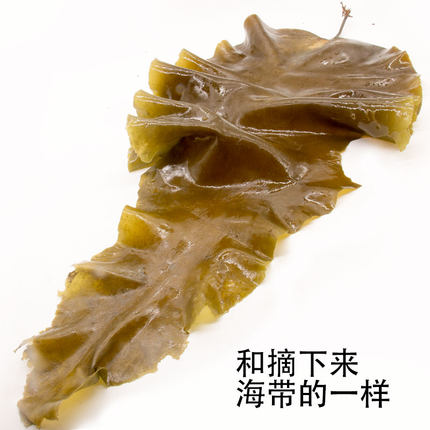 舟山特产桃花野生无沙海菜海带丝