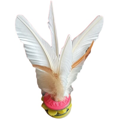 丹东金翎牌可拆卸成人比赛健身训练毽球儿童小学生鸡毛毽子大白毽