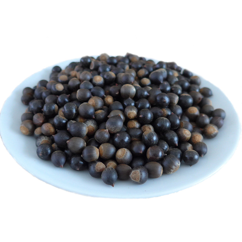 2021江西农家野生新鲜摘板野生小米锥尖栗子米园圆子现货500g