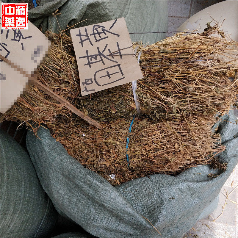 鸡心500克包邮中草药中药材黄草其他药食同源食品