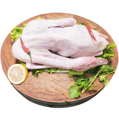 新鲜农家散养大白鹅鹅肉整只土鹅活体现杀冷冻老笨鹅净重6斤以上