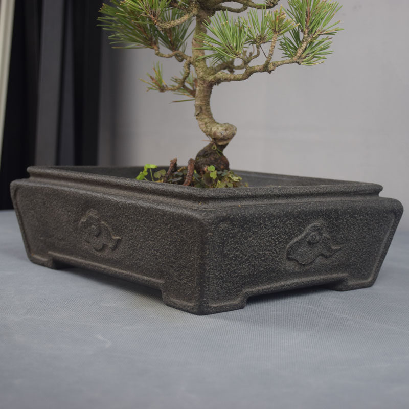 斗盆花盆四方盆老桩盆景石头微型鱼缸复古雕刻花盆