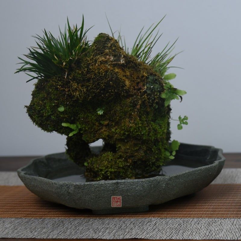 青石海棠盘无孔假山上水石方形山水盆景浅盆花瓣菖蒲盆吸水底椭圆