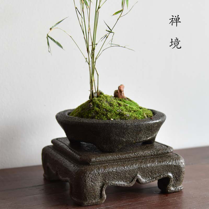 石盆圆花盆圆形盆景石头掌中盆底底座菖蒲专用花盆