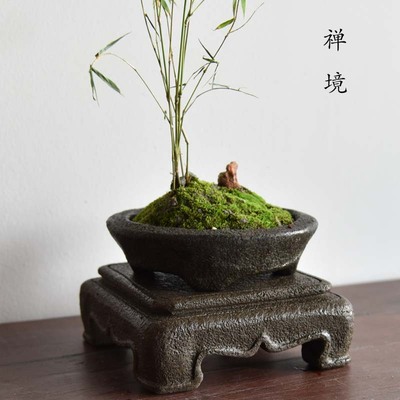 石盆圆花盆浅圆形盆景盆石头掌中盆底座菖蒲专用盆米竹仿古手工盆