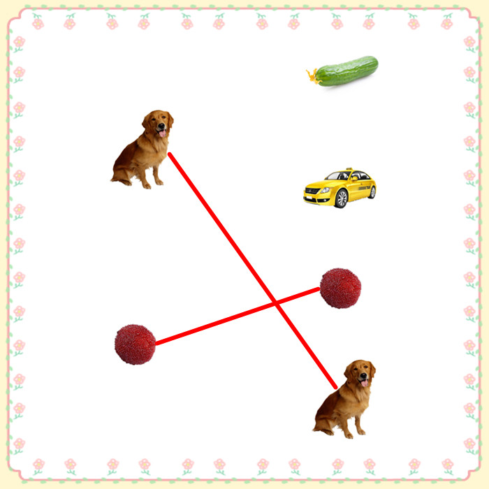 相同连线实物自闭症发育迟缓孤独症特教教具干预训练卡片