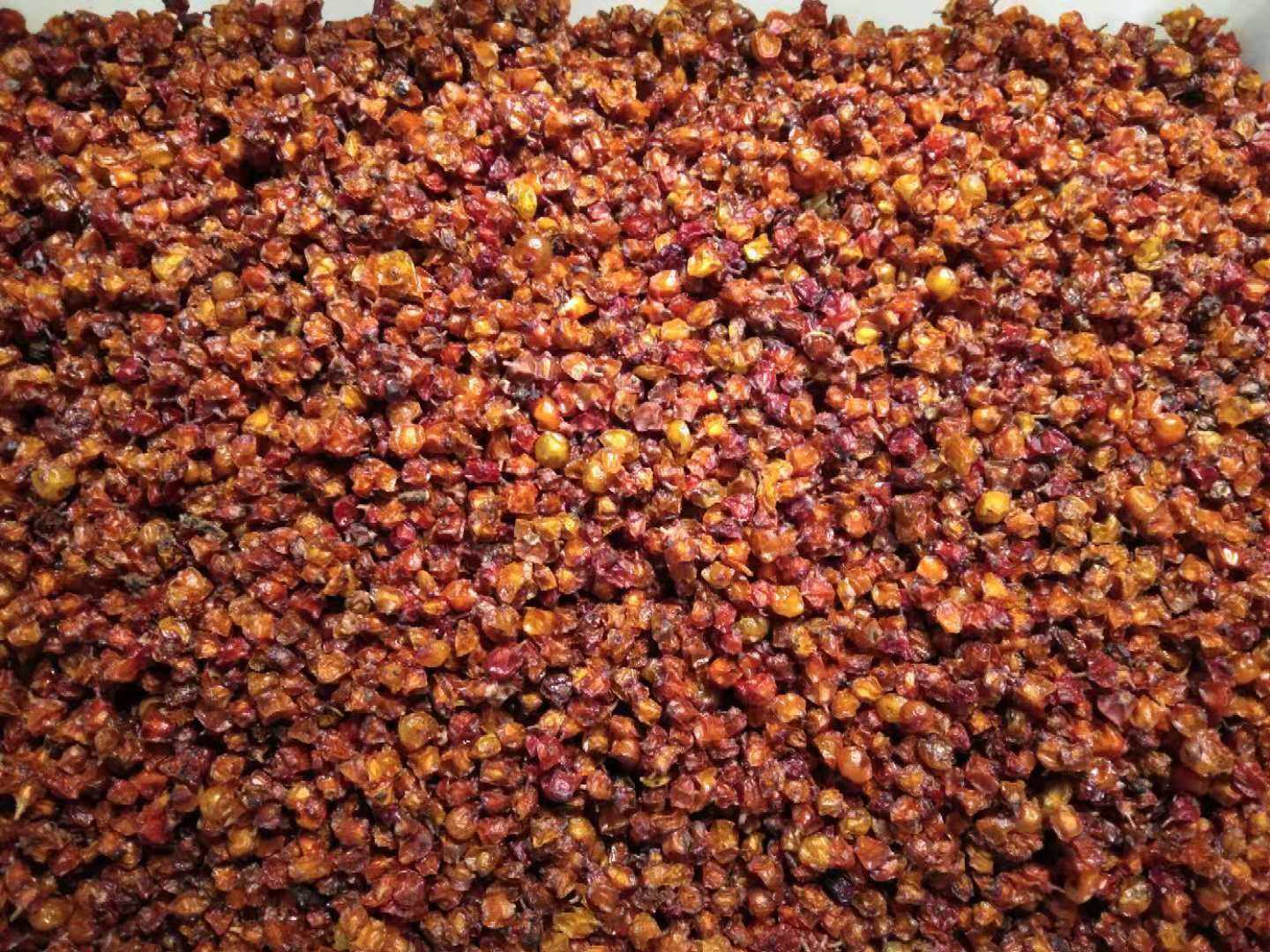 沙棘正宗果干山西特产精选吕梁野生干果泡茶沙棘