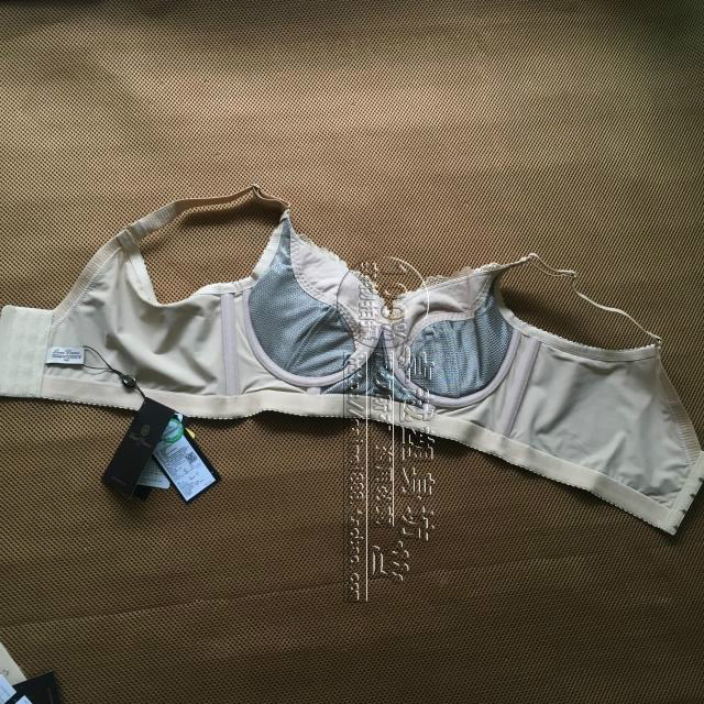 蓝黛丹尼landdennie内衣身体管理器聚拢美体短文文胸文胸