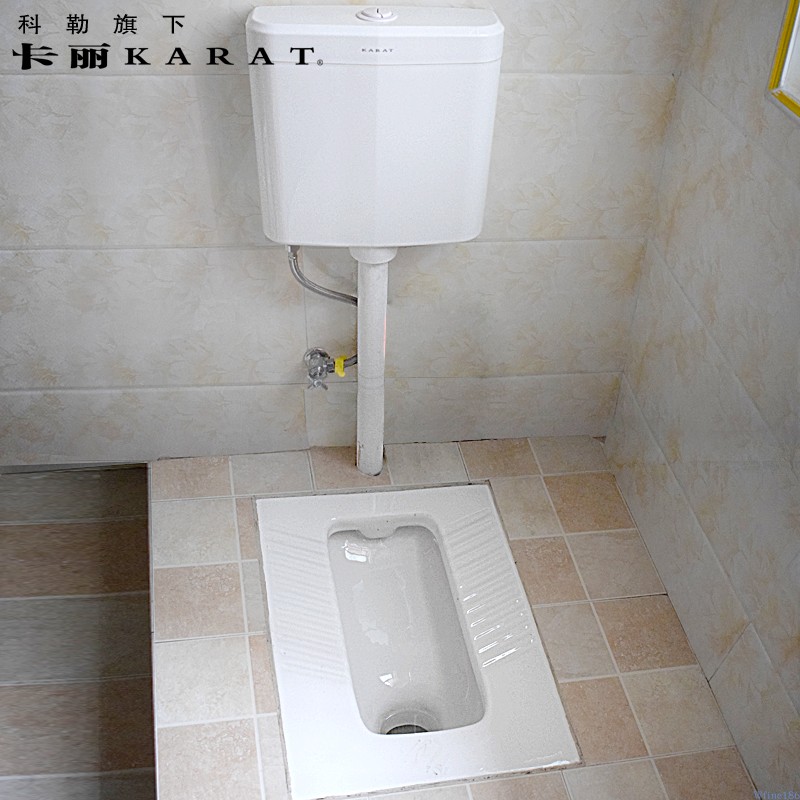 科勒卡丽17908tzvwk便器含存水弯后进前排蹲便器