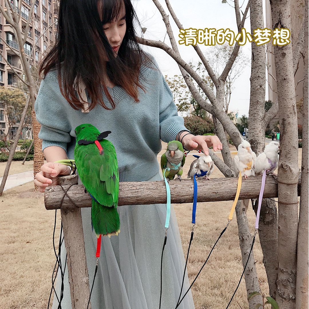 鹦鹉放飞飞行背带牵引弹性超轻遛鸟宠物服装