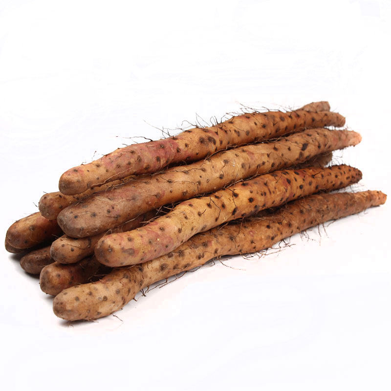 河南焦作垆土铁棍山药温县正宗铁杆淮山药新鲜怀山药5斤棒山约荮