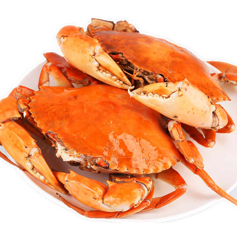 三门大红膏蟹螃蟹海蟹满膏母鲜活水产海青蟹
