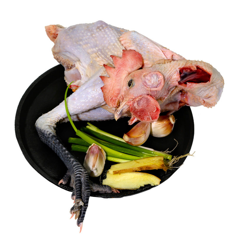 密云农家散养公鸡 土公鸡 粮食喂养 自然觅食 炒肉吃的 非煲汤