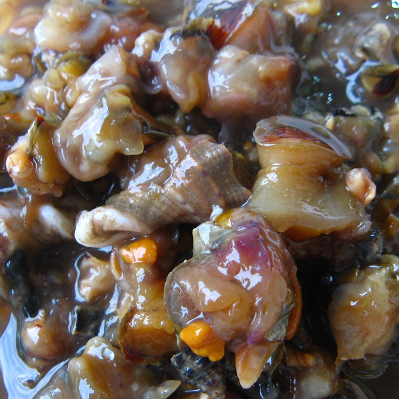 舟山嵊泗辣螺浆酱宁波特产大个个头黄螺浆海螺贝类制品